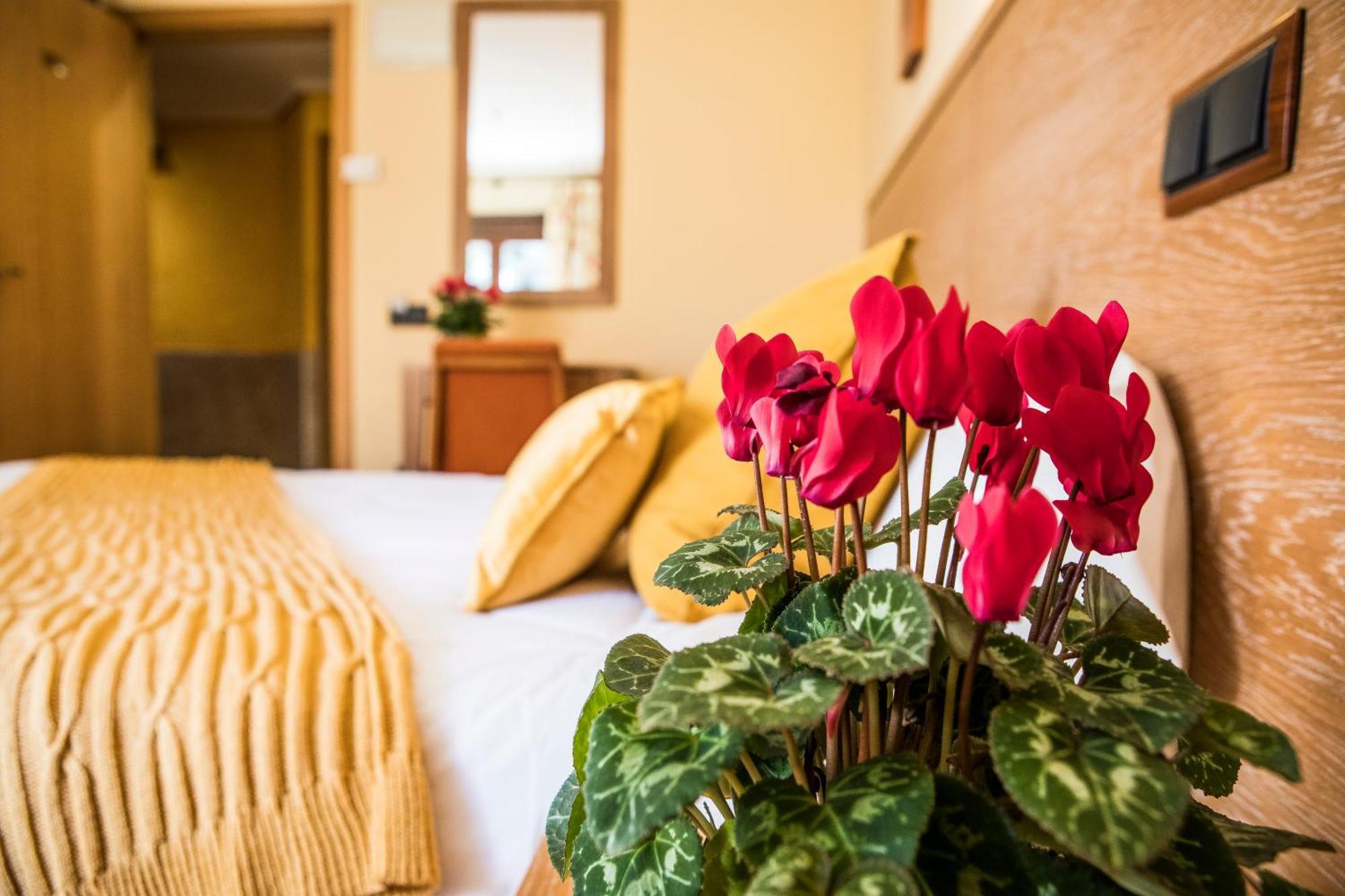 Hotel Casa Jose Diaz San Agustín de Guadalix Εξωτερικό φωτογραφία
